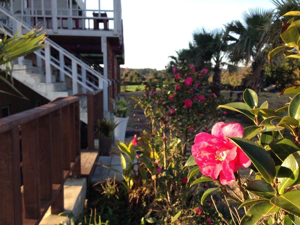 Clover B&B Seogwipo Ngoại thất bức ảnh